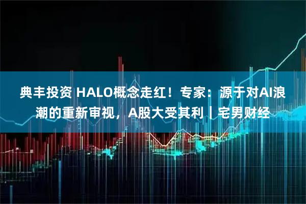 典丰投资 HALO概念走红！专家：源于对AI浪潮的重新审视，A股大受其利｜宅男财经